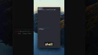 Bash reverse shell