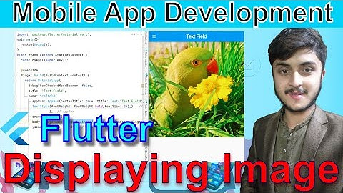 Flutter Tutorial: Displaying Images in Flutter | Flutter | App Development || Code With Khurram