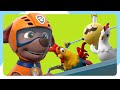 All the Rescues of Season 8 🚨| PAW Patrol | Cartoons for Kids