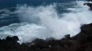 DSCF1228.AVI