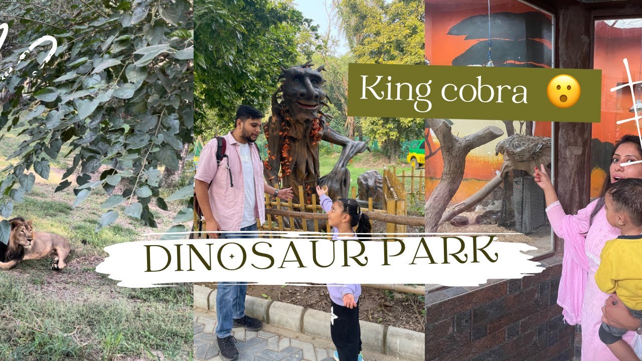 A Well Spent Day in Chhatbir Zoo 😄👌 | Ticket price Timing |Dinosaur Park |Saer Safari |King Cobra
