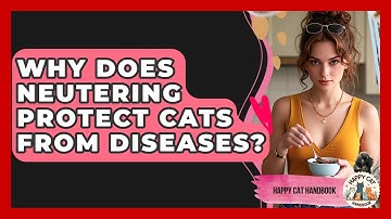 Why Does Neutering Protect Cats From Diseases? - Happy Cat Handbook