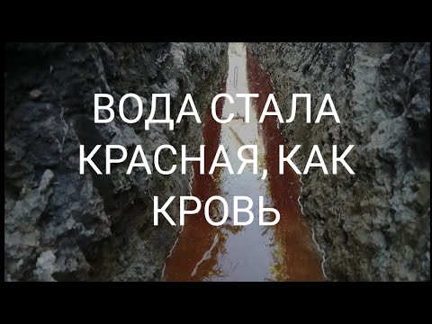 Вода стала красная, как кровь