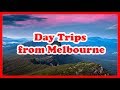 5 Top-Rated Day Trips from Melbourne, Victoria | Australia Day Tours Guide