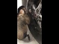 Twitch the monkey mechanic