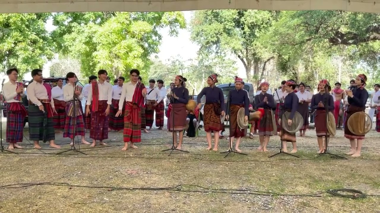 การละเล่น  แมงตับเต่า