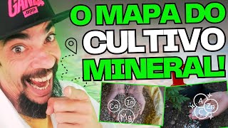 CULTIVO MINERAL= Como Cultivar SEM Microrganismos no Indoor?