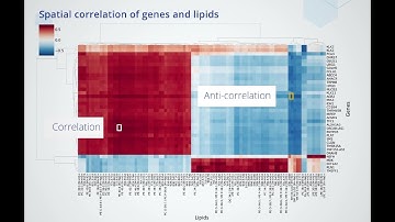 Spatial multi-omics data analysis made easy - 3/4