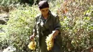 Hozan Besir Heval - KMarasEmlak.Com