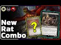  new rat combo deck win out of nowhere without attacking   mkm karlov manor  mtg standard arena