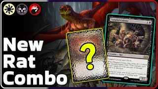 NEW Rat combo deck! WIN out of nowhere without attacking  | MKM Karlov Manor  MTG Standard Arena