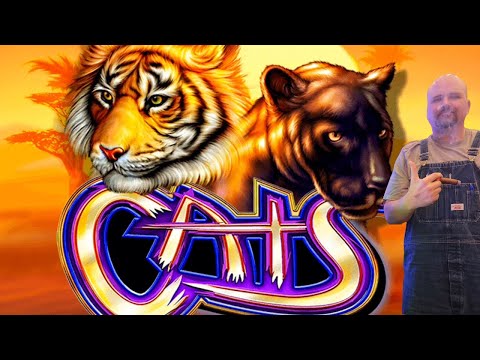 Ny kittycat casino promo code - Spill kasino på nett i Norge