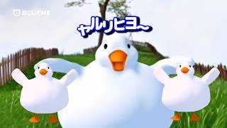 ヨーデル食べ放題🪿🍴おすすめのアラーム音！カモアラーム⏰ ヤルリヒヨ !