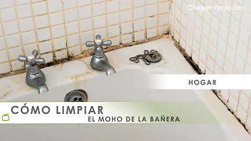 ¿Qué mata el moho alrededor de una bañera?