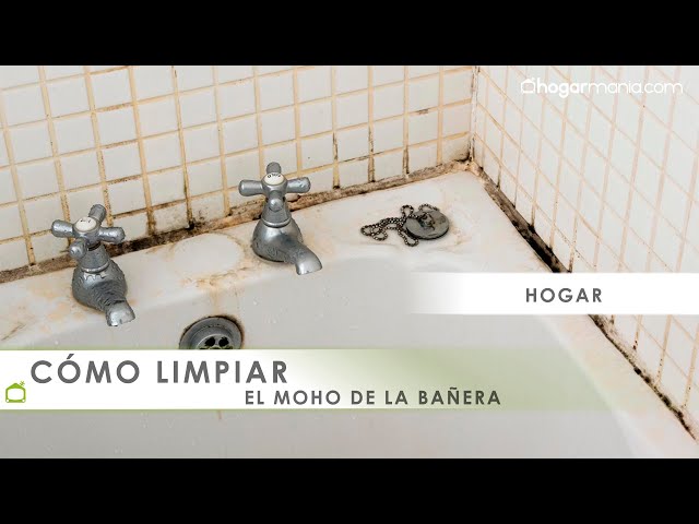 Cómo limpiar el moho en la ducha y las paredes del baño? - Teza Clean