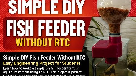 Simple DIY Automatic Fish Feeder | School & Engineering Project | No RTC Required