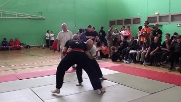 Jae Willis Moving Step Push Hands