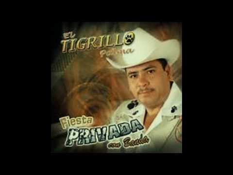 El Tigrillo Palma