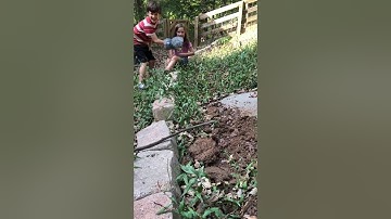 Cc cycle 2 week 3 science consumers