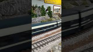 269.604 (La Gata) + plataforma DDMA + Talgo Pendular por la AAFM