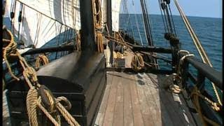 Burt Wolf What We Eat 102 The Story Of Sugar