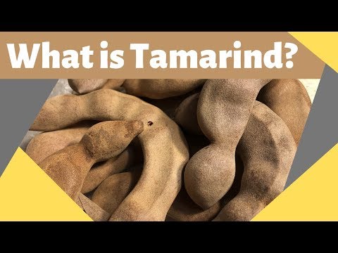 Video: Tamarind - Koristne Lastnosti In Gojenje Tamarinda. Uporaba Tamarinda