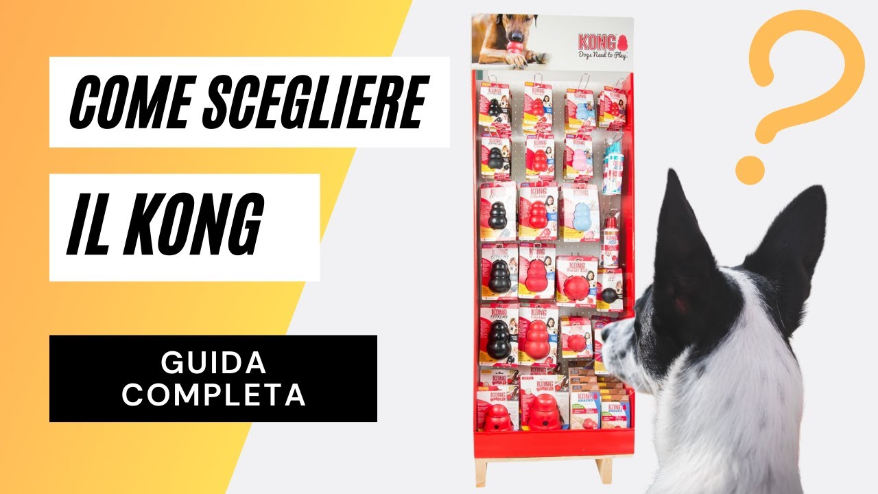 Come scegliere il Kong per il tuo cane: guida completa