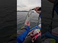 期間限定の落とし込み釣りが面白過ぎる!