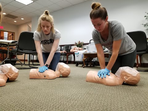 Mastering Medical Emergencies: A Lifesaver's Guide