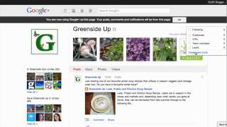 How to create circles and find people to circle in G+ Business Pages
