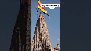 🙇 Jay Dwarkadhish 🙇 Gujarati Song 🙏🚩 #dwarkadhish #dwarka #love #music #king #india #viral #king ...