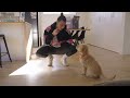 Dogs of the West | Episode 3