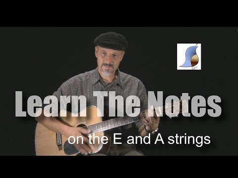 Learn the notes on E and A strings guitar lesson