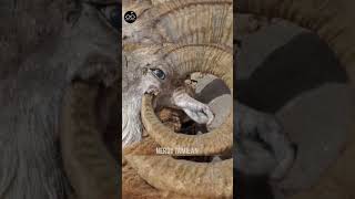 தனனததன அழதத வலஙககள Minutes Mystery And Galatta Facts Tamil Nerdy Tamilan