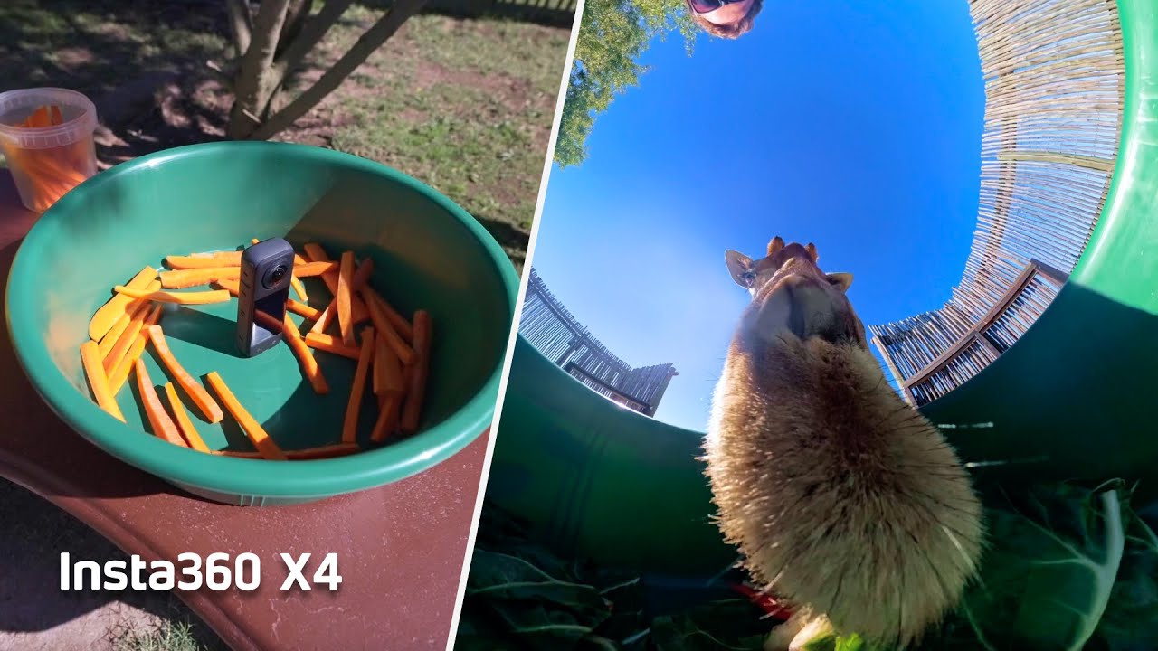 video Insta360 X4