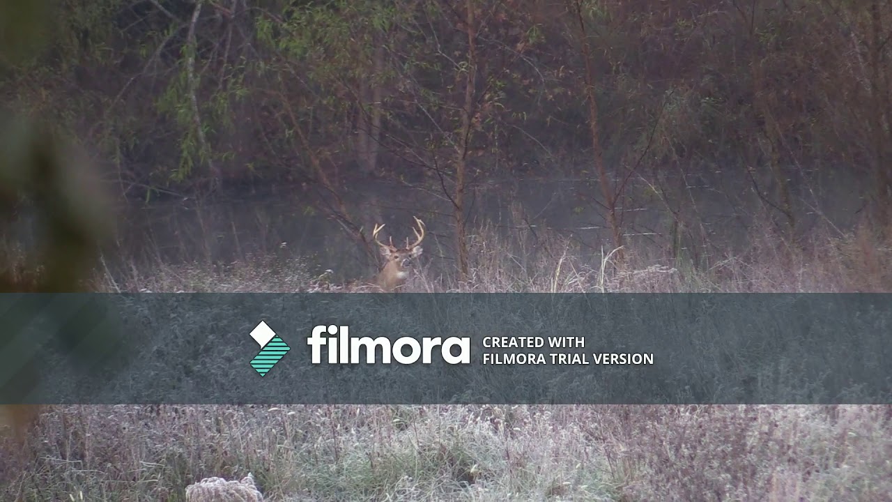 Arkansas deer hunting 2018 YouTube