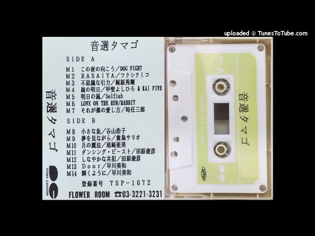 CHI-CHI-DASU MIMI - LOVE LOVE CHU CHU 〜アンドロメダより愛をこめて