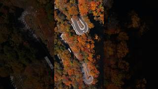 Riding Irohazaka With My Bestie