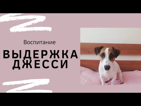 ผลสลากกินแบ่งรัฐบาล วันที่ 1 พย. 2567