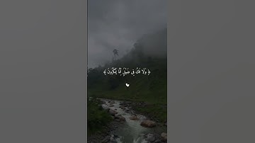قران كريم بصوت جميل حالات واتساب ❤️ #قرآن #فارس_عباد #تلاوة_خاشعة