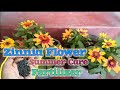 Zinnia profusion Summer care &amp; fertilizer, मई की गर्मियों में जीनिया को कैसे लगाएं