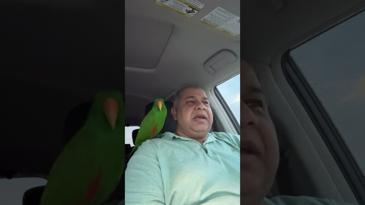 Update on petrol price