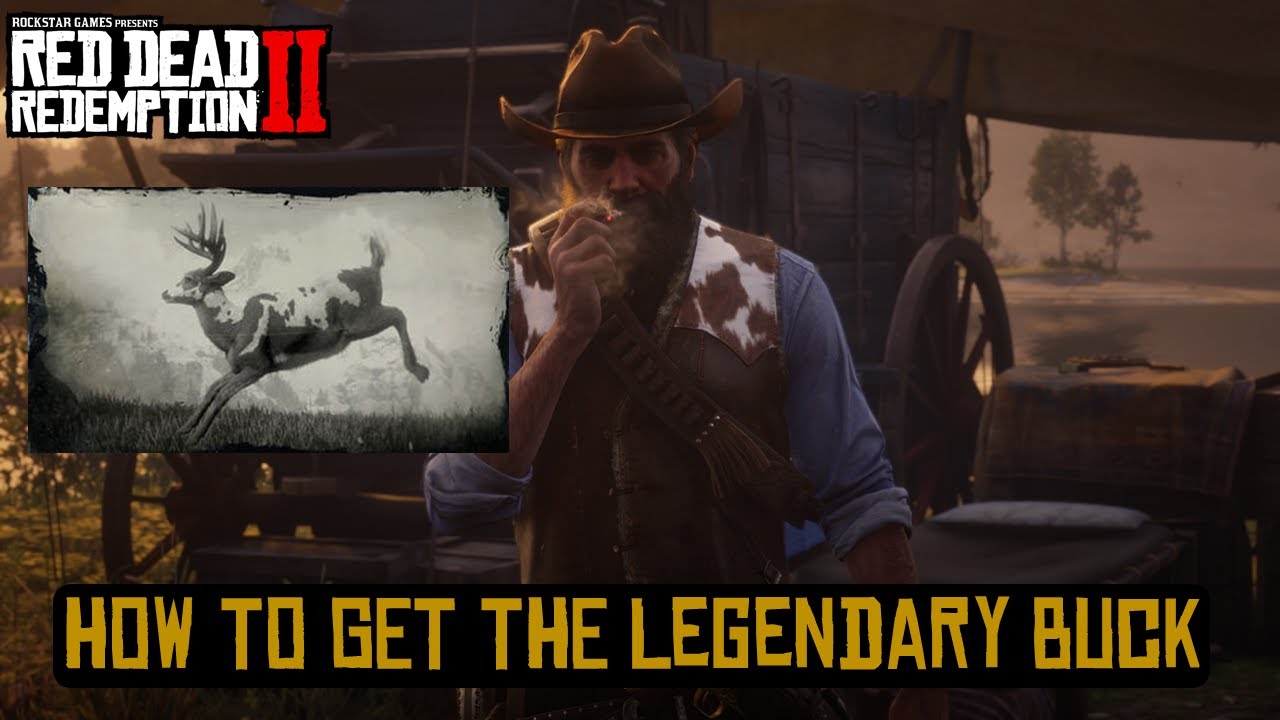 How to Get the Legendary Buck | Red Dead Redemption 2 - YouTube