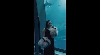 宇多田ヒカル | Somewhere Near Marseilles ―マルセイユ辺りー　-LIVE at Sea Paradise