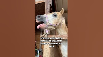 Thumbnail of Waiting for the vet be like… #funnyhorses #pony #equestrian #funnypets #singing #vet