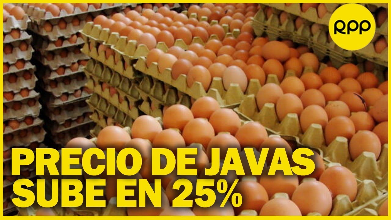 Precio del huevo al alza ¿qué debe hacer el MIDAGRI? YouTube