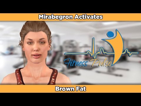 Mirabegron Activates Brown Fat