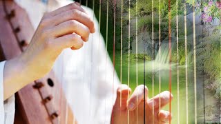 Harpe celtique et superbe nature, forêt, source, ruisseau, chants d'oiseaux, musique zen relaxante