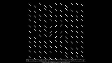 Feature-specific contextual modulation of V1 and V2 neurons - Supplementary V2 [105616]