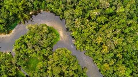 Middaggesprek 4 december 2025 - COP30 and the Global Mutirão: a hit and miss?